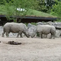 ZOO Salzburg