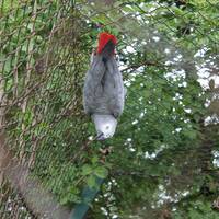 ZOO Salzburg