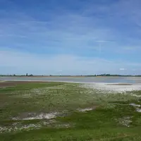 Neziderské jezero (Neusielder see)