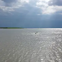 Neziderské jezero (Neusielder see)