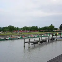 Neziderské jezero (Neusielder see)