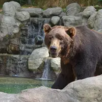 Zoo Brno