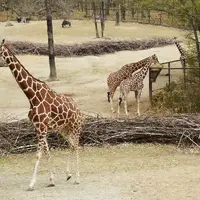 Zoo Brno