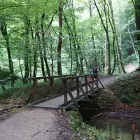 Naturpark Eichenhain