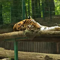 Zoo Gdaňsk Oliwa