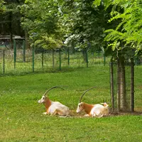 Zoo Gdaňsk Oliwa