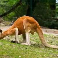 Zoo Gdaňsk Oliwa