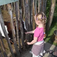 Papouščí Zoologická zahrada