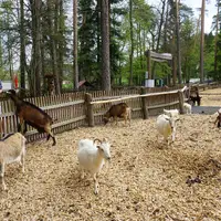 Přírodní park Geras (zoo)