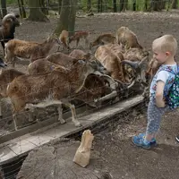 Přírodní park Geras (zoo)