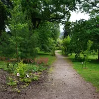 Arboretum Žampach