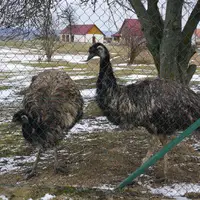 Pohádková stezka aneb Putování malého človíčete