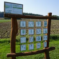 Pohádková stezka aneb Putování malého človíčete