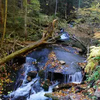 Naučná stezka Bílá Opava