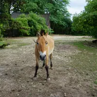 Bojnická zoologická zahrada