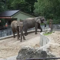 Bojnická zoologická zahrada