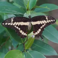 Bojnická zoologická zahrada