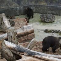 Bojnická zoologická záhrada