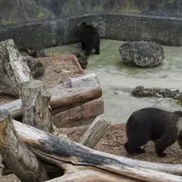 Bojnická zoologická zahrada