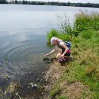 Vodní stezka kolem Veselského rybníka