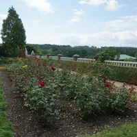 Nové Město nad Metují, zámek a park