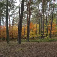 Borecké skály na Semilsku