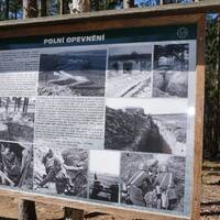 Naučná stezka pohádkovým lesem ve Slavonicích