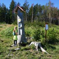Naučná stezka pohádkovým lesem ve Slavonicích