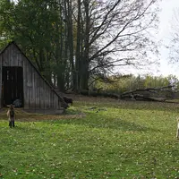 Zoopark Na Hrádečku u Jindřichova Hradce