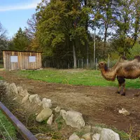 Zoopark Na Hrádečku u Jindřichova Hradce