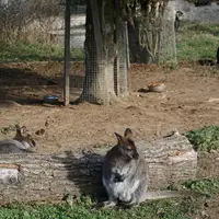 Zoopark Na Hrádečku u Jindřichova Hradce