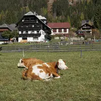 Ledovcové jezero Weissensee