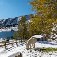 Zábavní park Heidi Alm a jezero Falkertsee