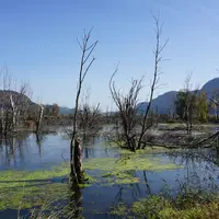 Ossiacher See