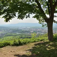 Doubravská hora