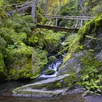 Karlova Studánka