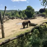 Zoo Praha