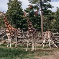 Zoo Olomouc - Svatý Kopeček