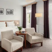 Deluxe Room s výhledem do parku (30–34 m²)