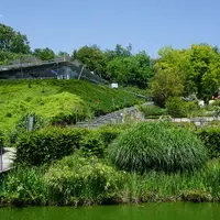 Zoo park Tierwelt Herberstein