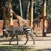 Zoologická a botanická zahrada Liberec