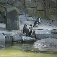 Zoologická a botanická zahrada Liberec