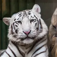 Zoologická a botanická zahrada Liberec