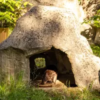 Zoologická a botanická zahrada Liberec