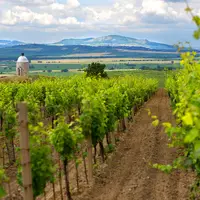 Hradištěk - kaple sv. Cyrila a Metoděje, sv. Václava a sv. Urbana