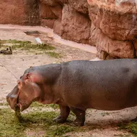 Zoo s podmořským světem