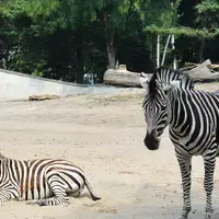 Zoo s podmořským světem