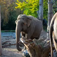 Zoo s podmořským světem