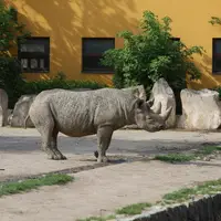 Safari park Dvůr Králové