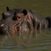 Safari park Dvůr Králové